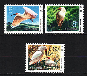 Китай _, 1984, Птицы, Ибис, 3 марки